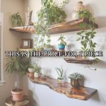Floating Corner Shelves Decorations